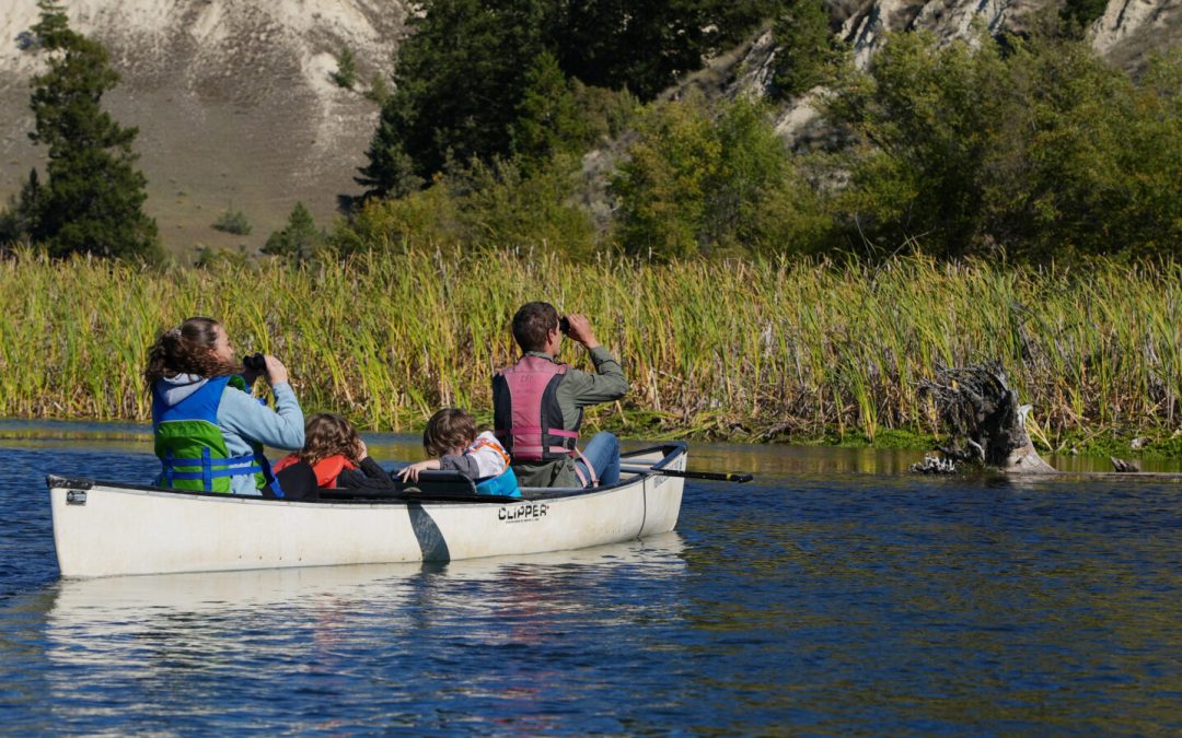 Birdwatching in the Columbia Valley