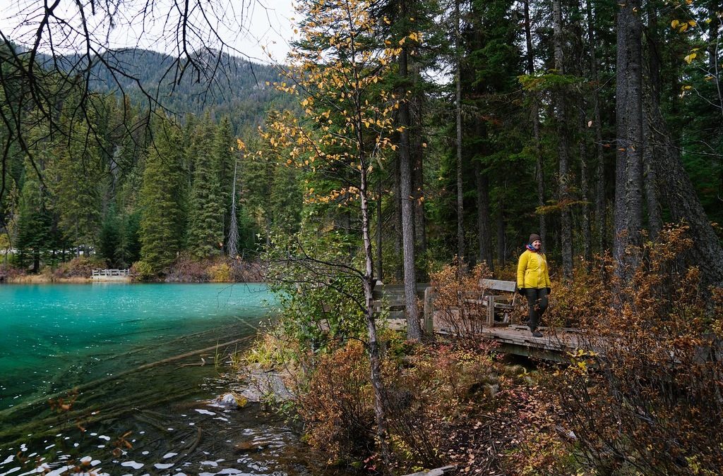 Renew Your Body & Mind