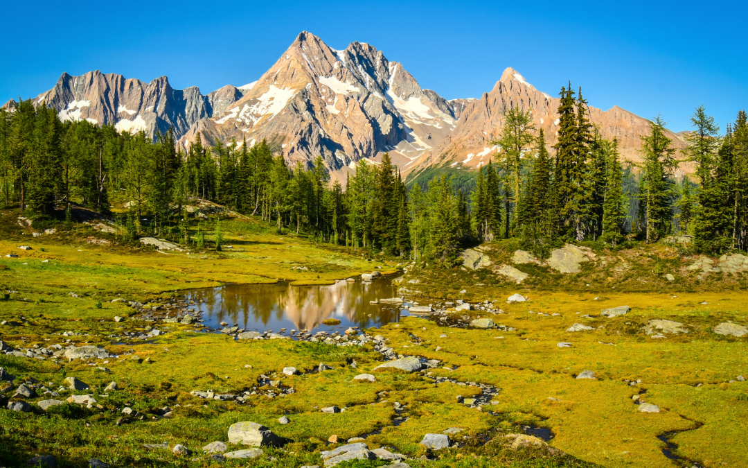 Get Off the Beaten Path this Spring in the Columbia Valley