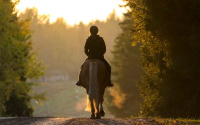 Fun For the Whole Family