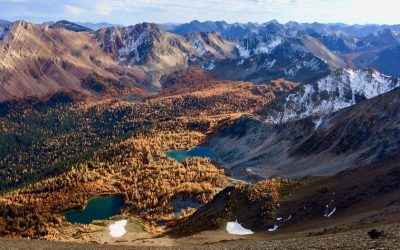 Rediscover the Columbia Valley this Fall