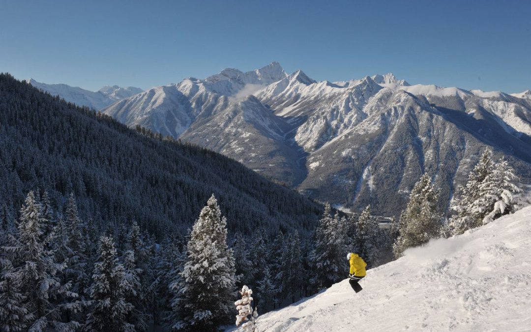 Your Winter Adventure Awaits